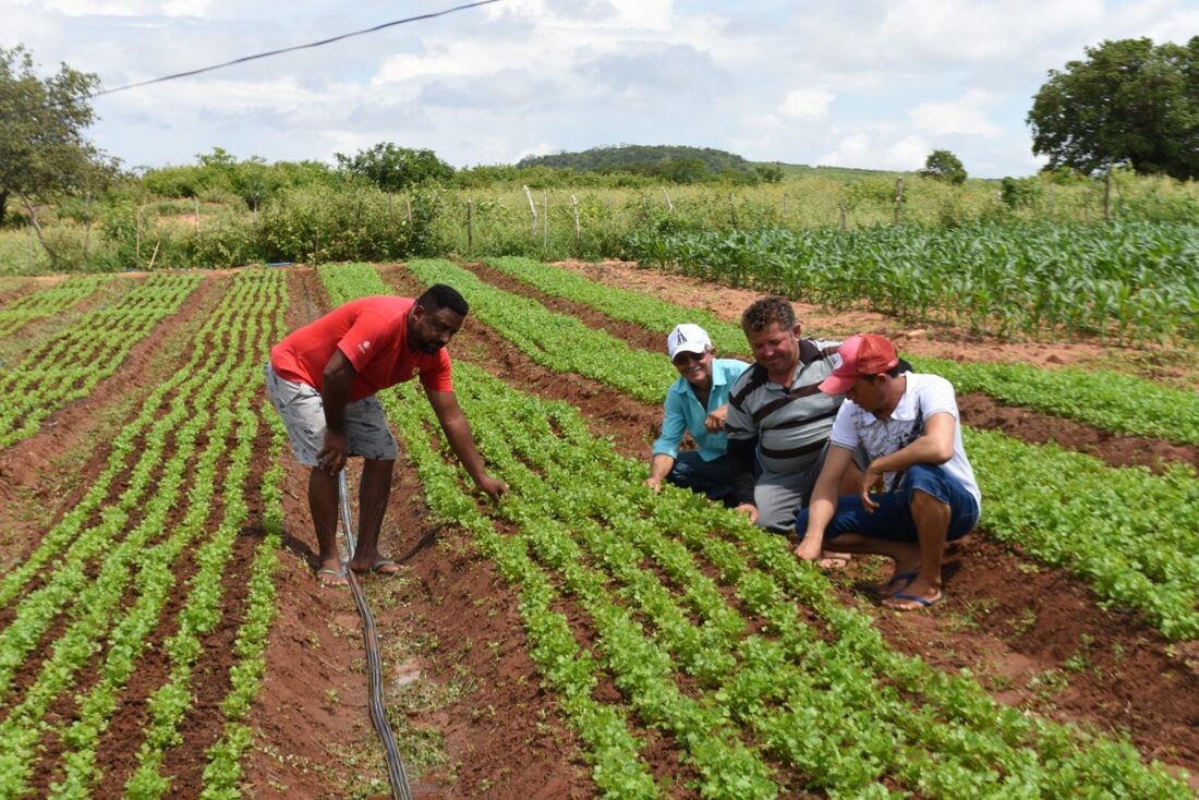 Pequenos-agricultores